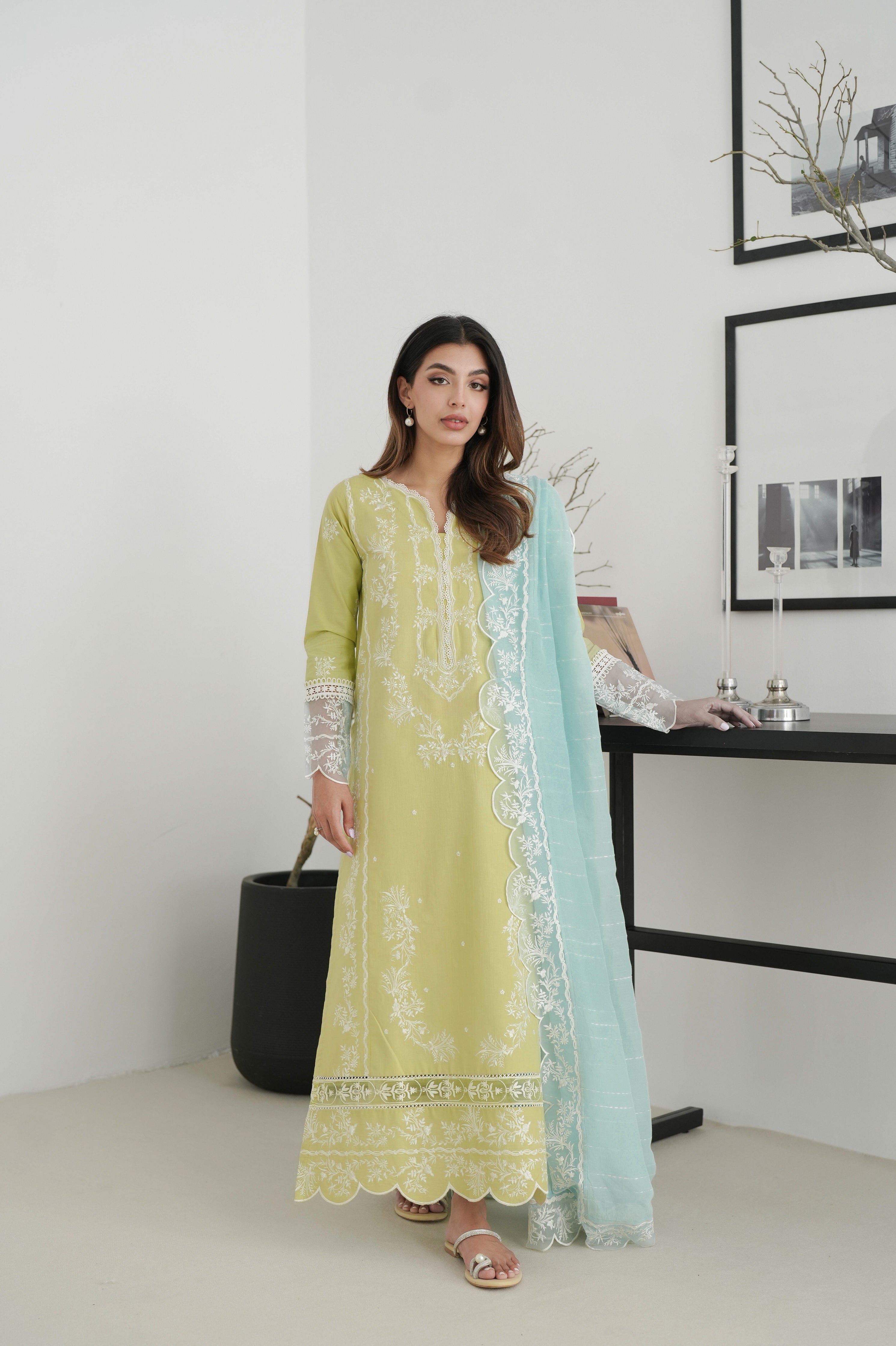 Pistachio Embroidered Lawn Set EID UL AZHA ‘24 NEL-24620